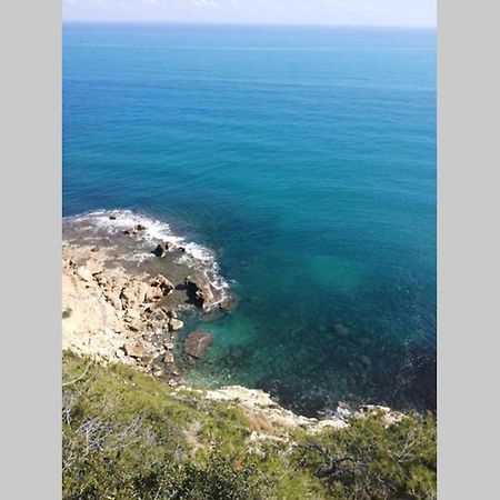 El Poblet 36 Villa Denia Exteriör bild