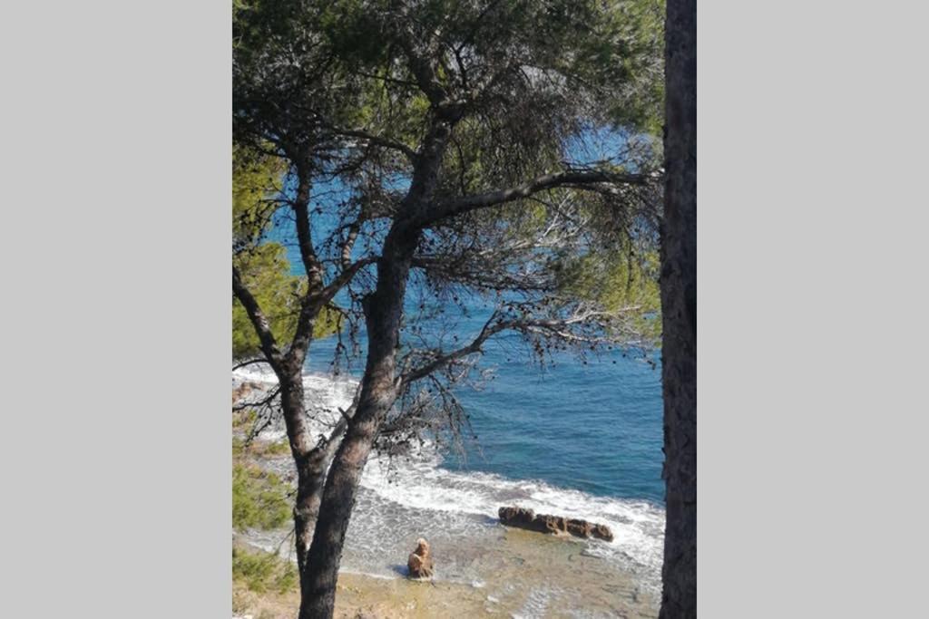 El Poblet 36 Villa Denia Exteriör bild